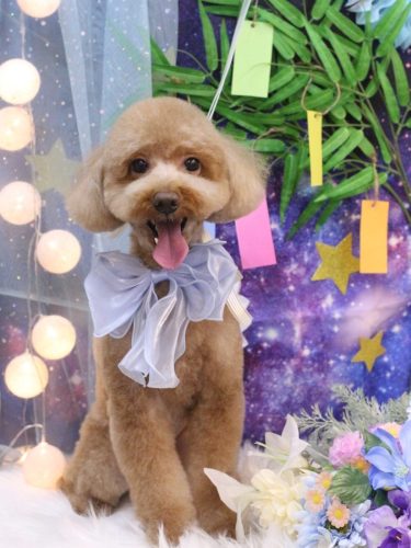 20250701レオくん